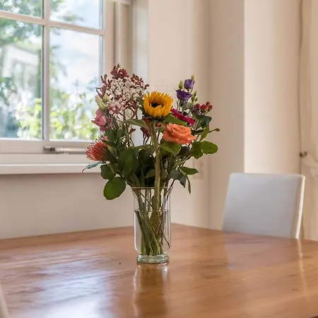 Hébergement de vacances Mooiste Plekje *